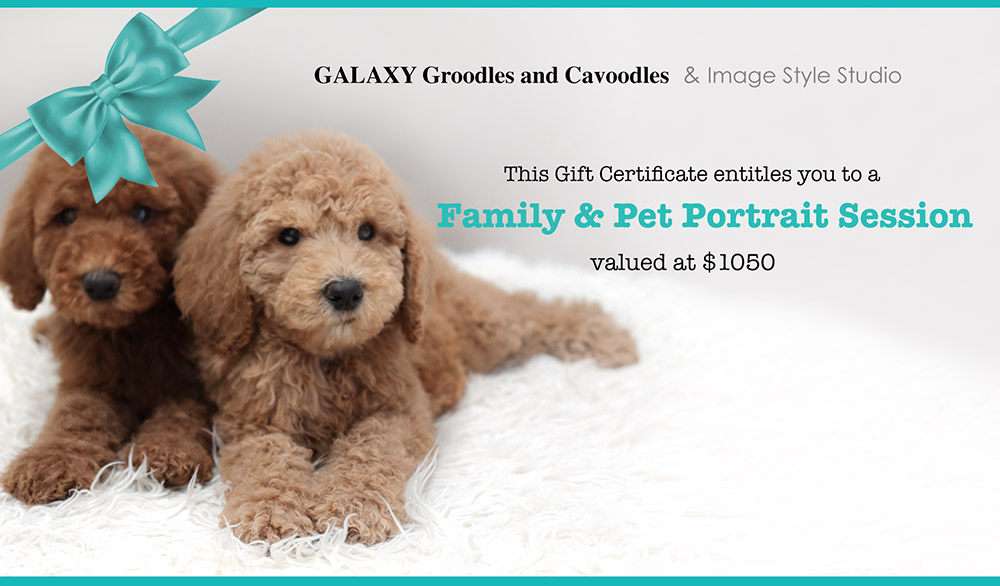 You're entitled to a Family & Pet Photo Session